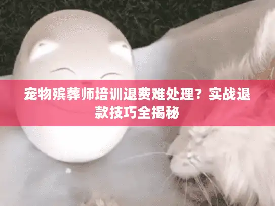 宠物殡葬师培训退费难处理？实战退款技巧全揭秘