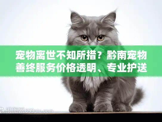 宠物离世不知所措？黔南宠物善终服务价格透明、专业护送