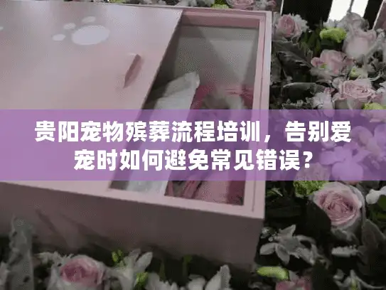 贵阳宠物殡葬流程培训，告别爱宠时如何避免常见错误？