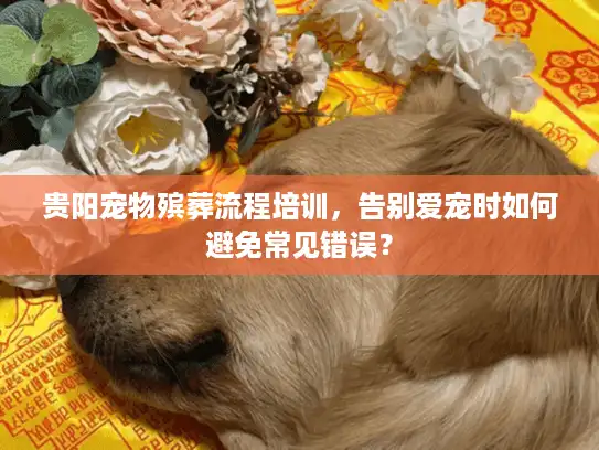 贵阳宠物殡葬流程培训，告别爱宠时如何避免常见错误？