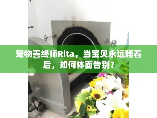 宠物善终师Rita，当宝贝永远睡着后，如何体面告别？