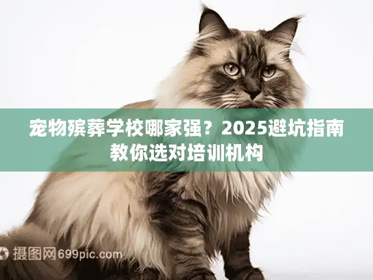 宠物殡葬学校哪家强？2025避坑指南教你选对培训机构