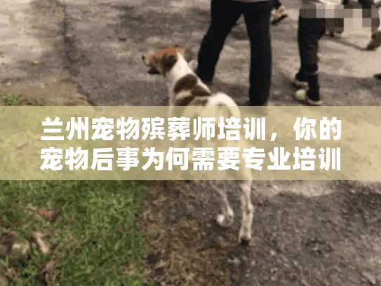 兰州宠物殡葬师培训，你的宠物后事为何需要专业培训的服务者？