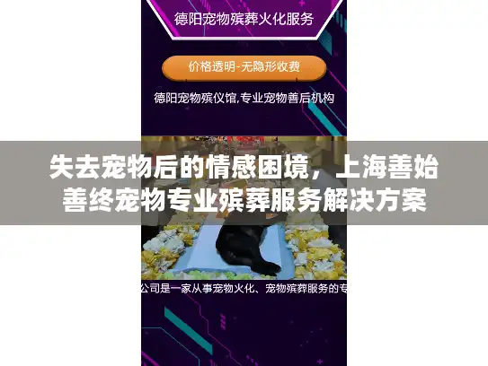 失去宠物后的情感困境，上海善始善终宠物专业殡葬服务解决方案