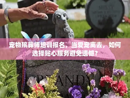 宠物殡葬师培训报名，当爱宠离去，如何选择贴心服务避免遗憾？