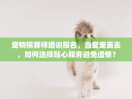 宠物殡葬师培训报名，当爱宠离去，如何选择贴心服务避免遗憾？