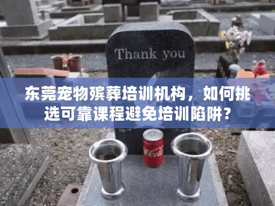东莞宠物殡葬培训机构，如何挑选可靠课程避免培训陷阱？