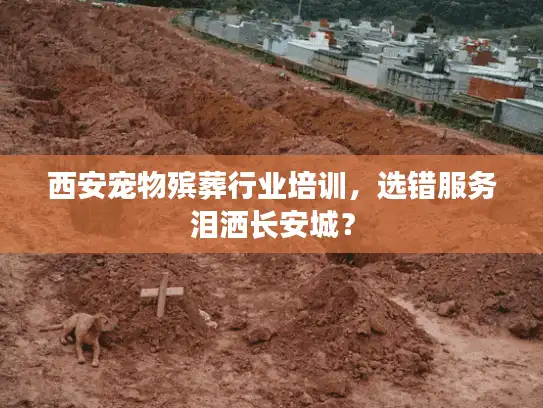 西安宠物殡葬行业培训，选错服务泪洒长安城？