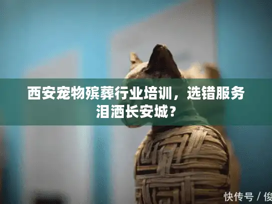 西安宠物殡葬行业培训，选错服务泪洒长安城？