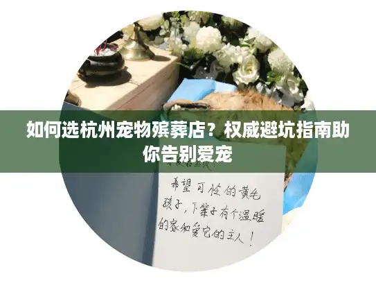 如何选杭州宠物殡葬店？权威避坑指南助你告别爱宠