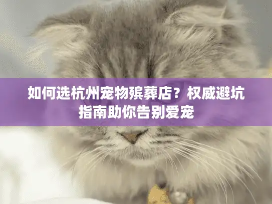 如何选杭州宠物殡葬店？权威避坑指南助你告别爱宠