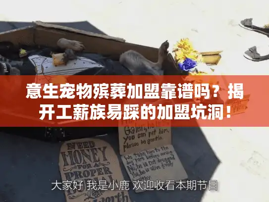 意生宠物殡葬加盟靠谱吗？揭开工薪族易踩的加盟坑洞！