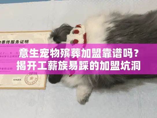 意生宠物殡葬加盟靠谱吗？揭开工薪族易踩的加盟坑洞！