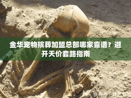 金华宠物殡葬加盟总部哪家靠谱？避开天价套路指南