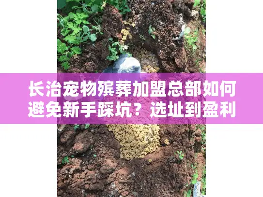 长治宠物殡葬加盟总部如何避免新手踩坑？选址到盈利真实避雷指南