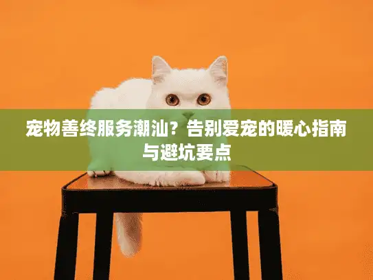宠物善终服务潮汕？告别爱宠的暖心指南与避坑要点