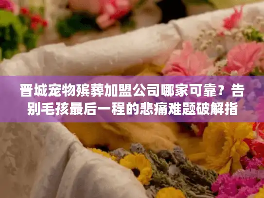 晋城宠物殡葬加盟公司哪家可靠？告别毛孩最后一程的悲痛难题破解指南