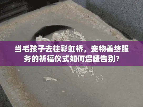 当毛孩子去往彩虹桥，宠物善终服务的祈福仪式如何温暖告别？