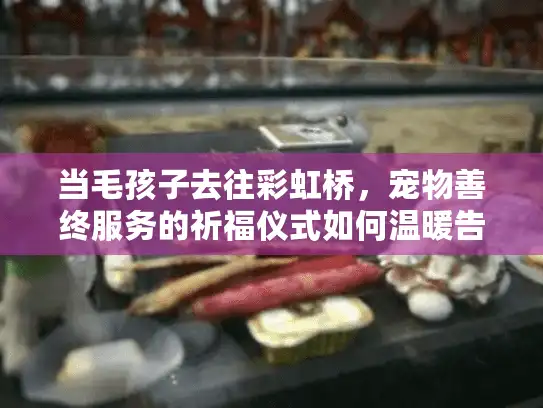 当毛孩子去往彩虹桥，宠物善终服务的祈福仪式如何温暖告别？