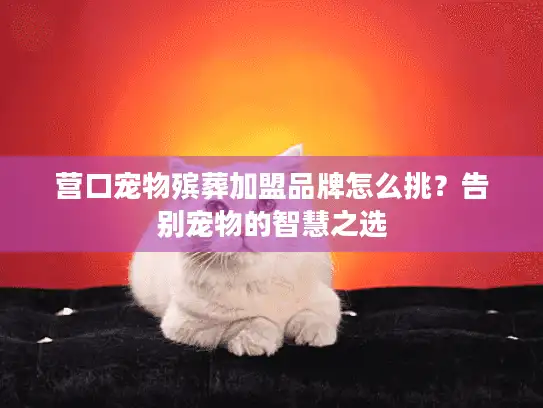 营口宠物殡葬加盟品牌怎么挑？告别宠物的智慧之选