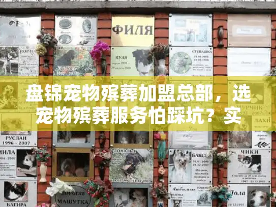 盘锦宠物殡葬加盟总部，选宠物殡葬服务怕踩坑？实用避雷步骤拆解