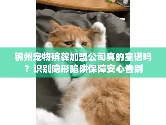 锦州宠物殡葬加盟公司真的靠谱吗？识别隐形陷阱保障安心告别