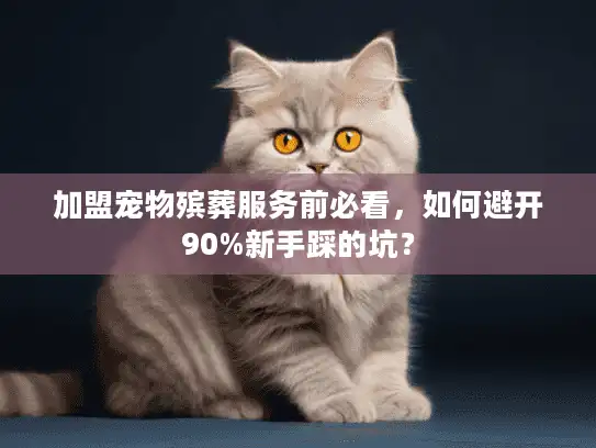 加盟宠物殡葬服务前必看，如何避开90%新手踩的坑？