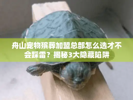 舟山宠物殡葬加盟总部怎么选才不会踩雷？揭秘3大隐藏陷阱
