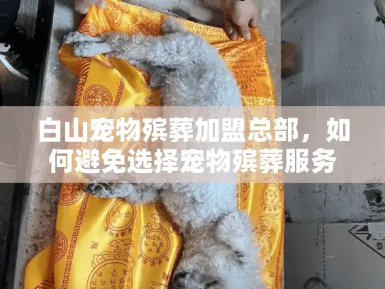 白山宠物殡葬加盟总部，如何避免选择宠物殡葬服务时的价格陷阱和服务缺失？