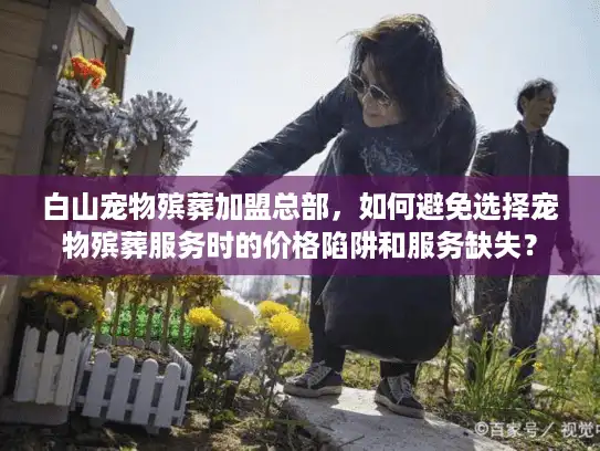 白山宠物殡葬加盟总部，如何避免选择宠物殡葬服务时的价格陷阱和服务缺失？