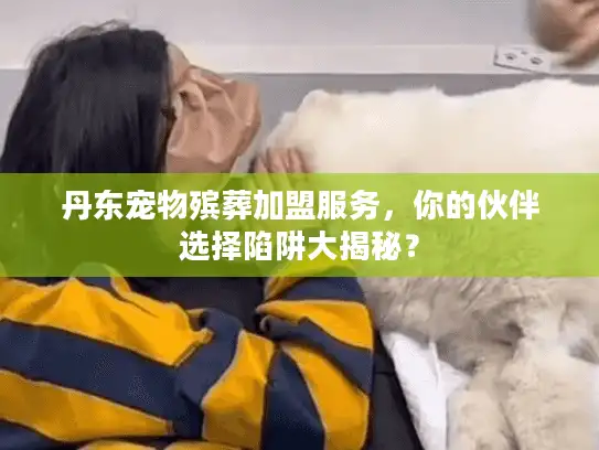 丹东宠物殡葬加盟服务，你的伙伴选择陷阱大揭秘？