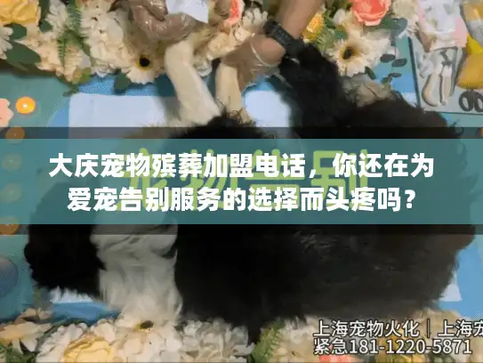 大庆宠物殡葬加盟电话，你还在为爱宠告别服务的选择而头疼吗？