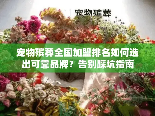 宠物殡葬全国加盟排名如何选出可靠品牌？告别踩坑指南