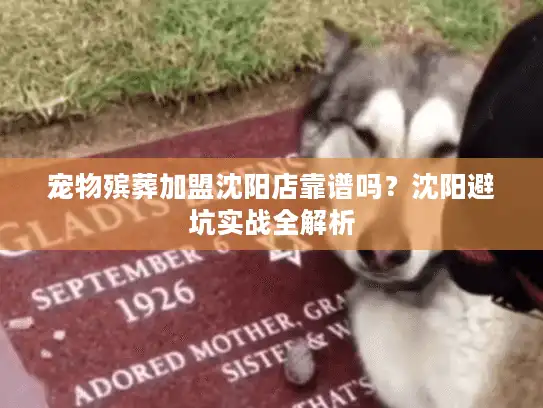 宠物殡葬加盟沈阳店靠谱吗？沈阳避坑实战全解析