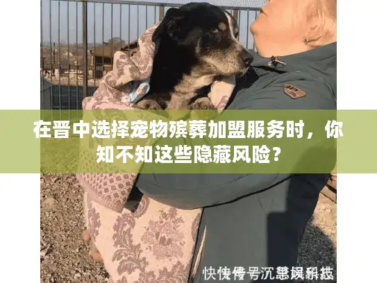 在晋中选择宠物殡葬加盟服务时，你知不知这些隐藏风险？