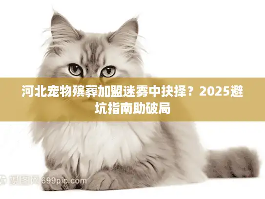 河北宠物殡葬加盟迷雾中抉择？2025避坑指南助破局