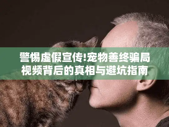 警惕虚假宣传!宠物善终骗局视频背后的真相与避坑指南