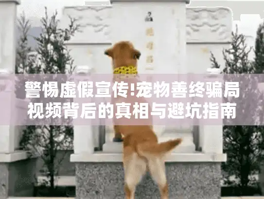 警惕虚假宣传!宠物善终骗局视频背后的真相与避坑指南