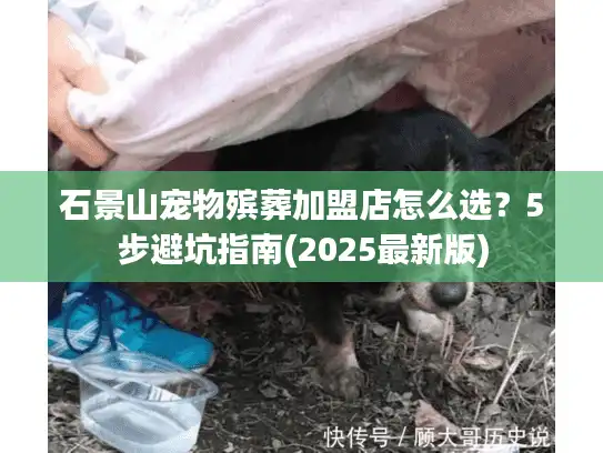 石景山宠物殡葬加盟店怎么选？5步避坑指南(2025最新版)