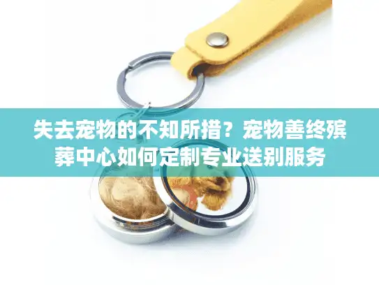 失去宠物的不知所措？宠物善终殡葬中心如何定制专业送别服务
