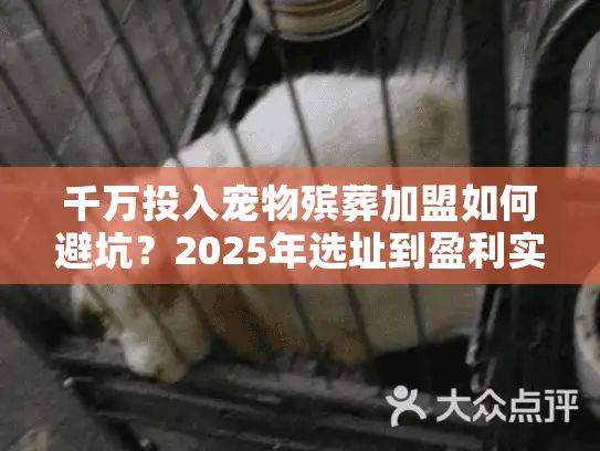 千万投入宠物殡葬加盟如何避坑？2025年选址到盈利实战手册