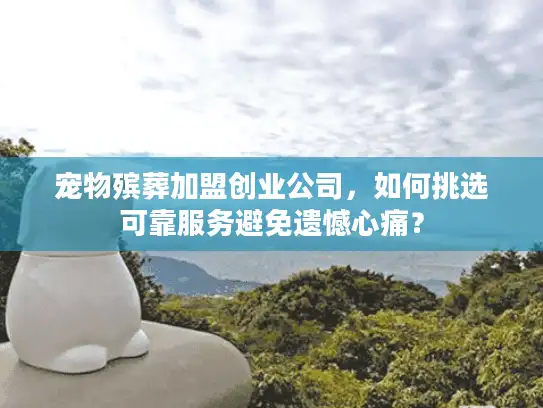 宠物殡葬加盟创业公司，如何挑选可靠服务避免遗憾心痛？