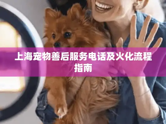 上海宠物善后服务电话及火化流程指南