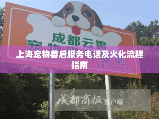 上海宠物善后服务电话及火化流程指南