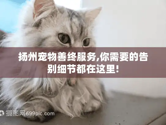 扬州宠物善终服务,你需要的告别细节都在这里!
