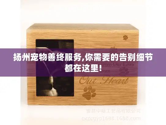 扬州宠物善终服务,你需要的告别细节都在这里!