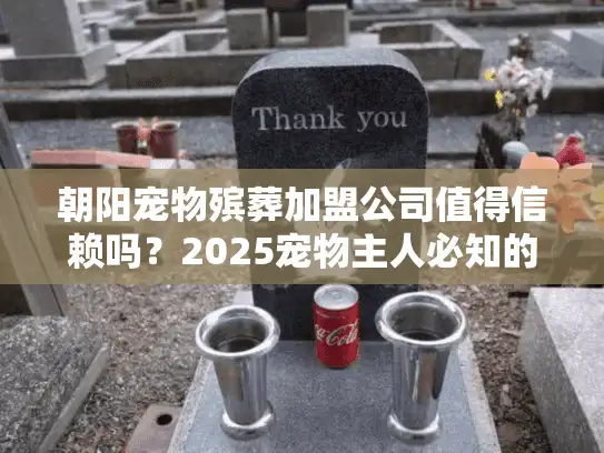 朝阳宠物殡葬加盟公司值得信赖吗？2025宠物主人必知的殡葬服务避坑关键