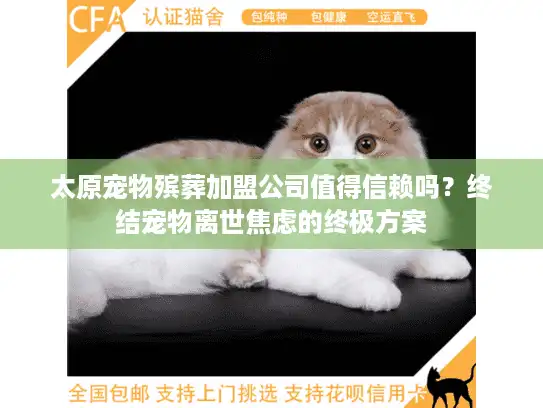 太原宠物殡葬加盟公司值得信赖吗？终结宠物离世焦虑的终极方案