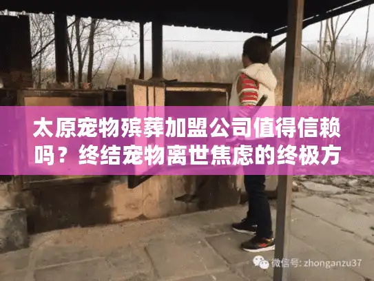太原宠物殡葬加盟公司值得信赖吗？终结宠物离世焦虑的终极方案