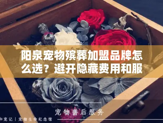 阳泉宠物殡葬加盟品牌怎么选？避开隐藏费用和服务坑洞指南